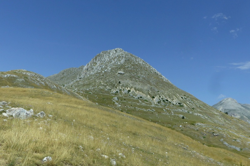 Le belle Epipactis sulle praterie di Campo Imperatore (AQ)  luglio 2025.